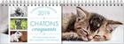 Couverture du livre « Semainier premium chatons craquants 2019 » de  aux éditions Editions 365