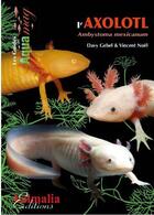 Couverture du livre « L'Axolotl » de Vincent Noel et Davy Gebel aux éditions Animalia