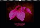 Couverture du livre « Fleurs 2020 fr version calendrier mural 2020 din a3 horizontal - fleurs avec texture calendrier » de Ushie Farkas aux éditions Calvendo