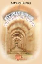 Couverture du livre « Périples dans les couloirs du temps » de Catherine Puchaux aux éditions Edilivre