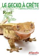 Couverture du livre « Le gecko à crête de Nouvelle-Calédonie : Correlophus, anc. rhacodactylus ciliatus » de Stefanie Bach aux éditions Animalia