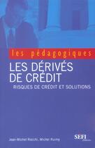 Couverture du livre « Les derives de credits ; risques de credit et solutions » de Michel Ruimy et Jean-Michel Rocchi aux éditions Sefi