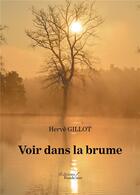 Couverture du livre « Voir dans la brume » de Herve Gillot aux éditions Baudelaire