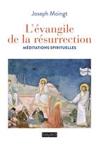 Couverture du livre « L'évangile de la résurrection ; méditations spirituelles » de Joseph Moingt aux éditions Bayard