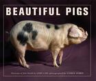 Couverture du livre « Beautiful pigs » de Andy Case aux éditions Frances Lincoln