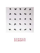 Couverture du livre « Norman Dilworth » de Norman Dilworth aux éditions Invenit