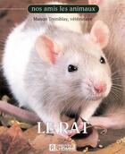 Couverture du livre « Le rat » de Manon Tremblay aux éditions Editions De L'homme