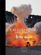 Couverture du livre « Cai Guo-Qiang and Pompeii » de Jerome Neutres aux éditions Silvana