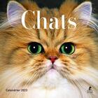 Couverture du livre « Calendrier chats (édition 2023) » de  aux éditions Place Des Victoires
