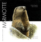 Couverture du livre « Marmotte » de C. Tongane / D. Clav aux éditions Hesse