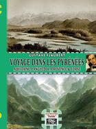 Couverture du livre « Voyage dans les Pyrénées, Aquitaine, Languedoc, Provence et Corse » de Gustave Flaubert aux éditions Prng