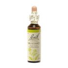 Couverture du livre « Fleurs de bach original n 21 mustard - 20 ml » de  aux éditions Dg-exodif