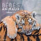 Couverture du livre « Calendrier mural bébés animaux 2017 » de  aux éditions Hugo Image