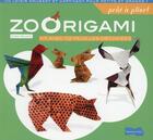 Couverture du livre « Zoorigami » de Didier Boursin aux éditions Dessain Et Tolra