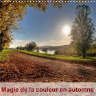 Couverture du livre « Magie de la couleur en automne (Calendrier mural 2020 300 × 300 mm Square) ; Magnifique saison qui nous illumine les pupilles avec ses merveilleuses couleurs (Calendrier mensuel, 14 Pages ) » de Didier Sibourg aux éditions Calvendo