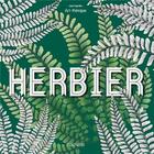 Couverture du livre « Art-thérapie ; les grands carrés : herbier » de Rubini Stephanie aux éditions Hachette Pratique