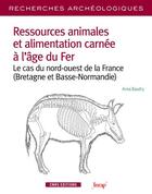 Couverture du livre « Recherches archéologique 13 » de  aux éditions Cnrs