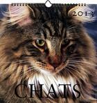 Couverture du livre « Chats ; calendrier 2013 » de  aux éditions Place Des Victoires
