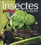 Couverture du livre « Les insectes et araignées » de Noel Tait aux éditions Larousse