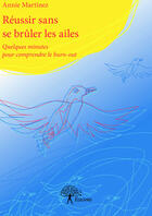 Couverture du livre « Réussir sans se brûler les ailes » de Annie Martinez aux éditions Editions Edilivre