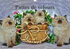 Couverture du livre « Seance photos de chatons calen » de S Ume Sylvia aux éditions Calvendo