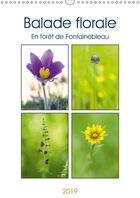 Couverture du livre « Decouvrez une jolie fleur sauv » de Makhloufi Djama aux éditions Calvendo