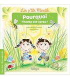 Couverture du livre « Pourquoi l'herbe est verte ? » de Sillousoune et Claire Bajen-Castells aux éditions Beluga