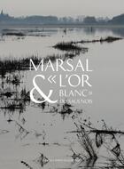 Couverture du livre « Marsal & l'or blanc du Saulnois » de Philippe Hoch aux éditions Fabelio