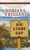 Couverture du livre « Big Stone Gap » de Adriana Trigiani aux éditions Epagine