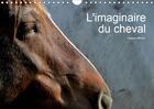 Couverture du livre « Regard abstrait sur le cheval » de Arnaud Francois aux éditions Calvendo