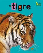 Couverture du livre « Le tigre » de Dreaming Green aux éditions Mango