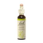 Couverture du livre « Fleurs de bach original n 23 olive - 20 ml » de  aux éditions Dg-exodif