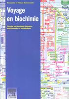 Couverture du livre « Voyage en biochimie » de Hecketsweiller aux éditions Belin