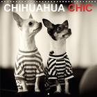 Couverture du livre « Chihuahua chic calendrier mural 2018 300 300 mm square - les freres et s urs chihuahua » de Koell M aux éditions Calvendo