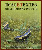 Couverture du livre « Imagetexte 6 » de Jeremy Adler aux éditions Manufacture De L'image