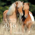 Couverture du livre « L'agenda du cheval 2016 » de  aux éditions Rustica