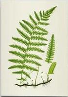 Couverture du livre « Carnet de notes et lectures : fougères et herbacées » de Anne Pratt aux éditions Reliefs Editions
