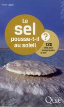 Couverture du livre « Le sel pousse-t-il au soleil ? 120 clés pour comprendre le sel » de Pierre Laszlo aux éditions Quae