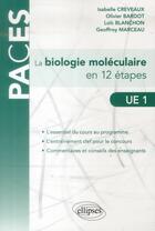 Couverture du livre « La biologie moleculaire en fiches » de Creveaux/Bardot aux éditions Ellipses