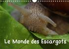 Couverture du livre « Le monde des escargots calendrier mural 2020 din a4 horizontal - escargots dans notre paysage c (édition 2020) » de Schl Fter Elken aux éditions Calvendo