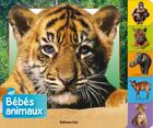 Couverture du livre « Bebes animaux : la jungle » de Christiane Gunzi aux éditions Lito