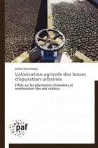 Couverture du livre « Valorisation agricole des boues d'épuration urbaines » de Ahmed Boutmedjet aux éditions Presses Academiques Francophones