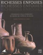 Couverture du livre « Richesses Enfouies ; Ceramiques Gallo-Romaines Du Musee De Blois » de Marie Tuffreau-Libre aux éditions Somogy
