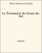 Couverture du livre « Le Testament de Grain-de-Sel » de Pierre Ponson du Terrail aux éditions Bibebook