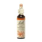 Couverture du livre « Fleurs de bach original n 25 red chestnut - 20 ml » de  aux éditions Dg-exodif