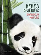 Couverture du livre « Bébés animaux ; grandeur nature » de Isabella Grott et Valter Fogato aux éditions Rustica