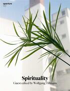 Couverture du livre « Magazine aperture 237 spirituality » de Famighetti Michael aux éditions Aperture