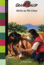 Couverture du livre « Grand galop t.684 ; alerte au pin creux » de Bonnie Bryant aux éditions Bayard Jeunesse