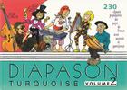 Couverture du livre « Diapason turquoise - volume 2 » de  aux éditions Presses D'ile De France