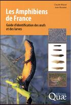 Couverture du livre « Les amphibiens de France ; guide d'identification des oeufs et des larves (2e édition) » de Miaud/Muratet aux éditions Quae